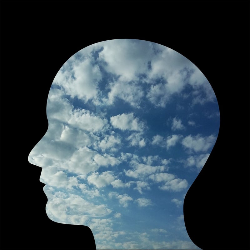 Cognitive Behavioral Therapy